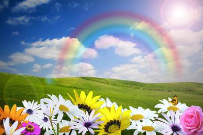Mai的《花,太阳,彩虹,你》歌词