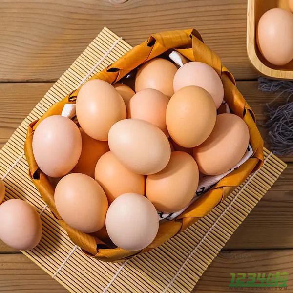 鸡蛋怎么吃最有营养 首乌煮鸡蛋可以防止脱发白发