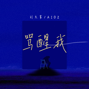 刘大拿/Aioz的《骂醒我·2022》歌词