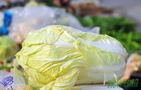 大白菜的功效与作用 大白菜的食用禁忌