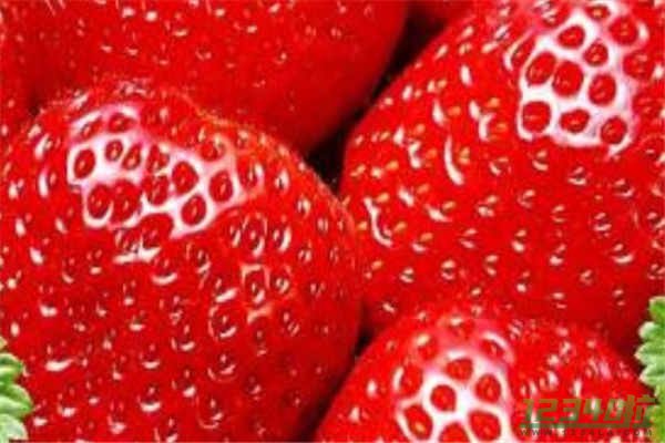 草莓的营养价值有哪些 草莓的功效和作用有哪些