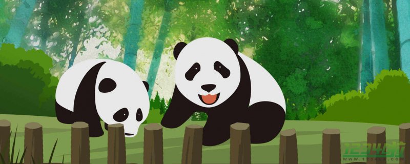 官方证实大熊猫宝新已去世 网友表示希望公开“宝新”的死因