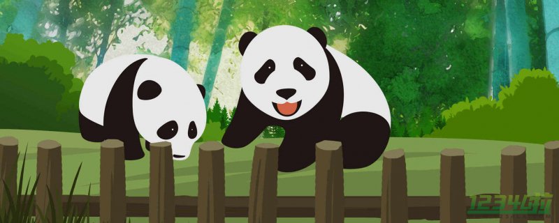 ​全球唯一的白色大熊猫正脸照首公开