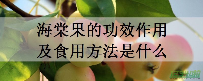 海棠果的功效与作用 海棠果的食用方法