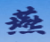 燕山大学教务处logo图标