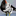 鸟声网logo图标