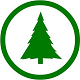 青松网logo图标