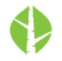绿色直播网logo图标