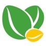 金昌盛种植logo图标