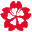 风车樱花动漫网logo图标
