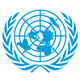 联合国中文网logo图标