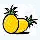 菠萝云logo图标