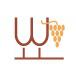 葡萄酒资讯网logo图标