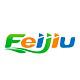 Feijiu网logo图标