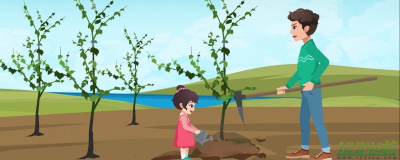 重庆一公园挖原有树木搞植树节是怎么回事 官方辟谣了