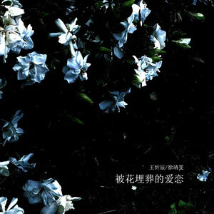 王忻辰/徐靖雯的《被花埋葬的爱恋》歌词