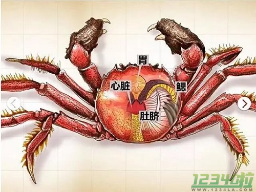 螃蟹怎么吃图解 螃蟹哪些部位不能吃