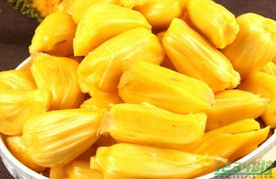 菠萝蜜的功效与作用 吃菠萝蜜的副作用
